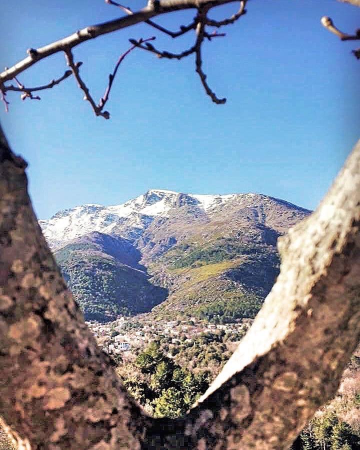 Auberge Casa Mathea Poggio-di-Venaco Luaran gambar
